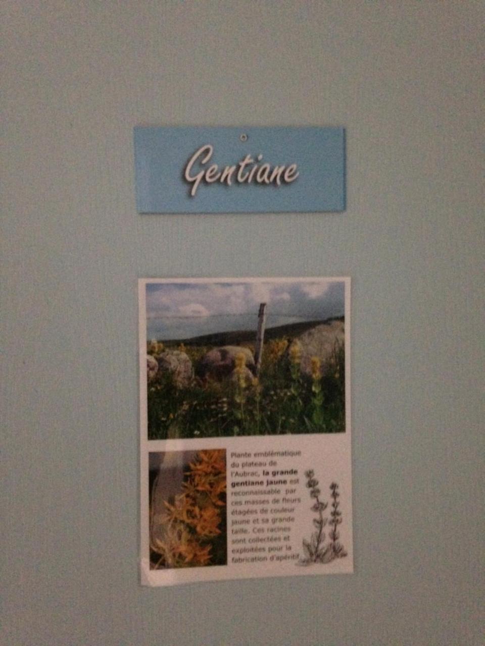 Gite Du Forail Laguiole Esterno foto